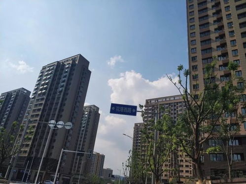 秒殺一眾商品房 南京這家安置房交付，實景太驚艷了