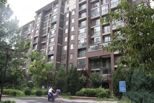 北五環領秀慧谷出新盤 商品房實力碾壓萬橡悅府，性價比更勝一籌