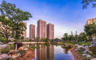 遂寧房價是否迎來轉折？河東拍出兩宗住房用地，成交價格出乎意料